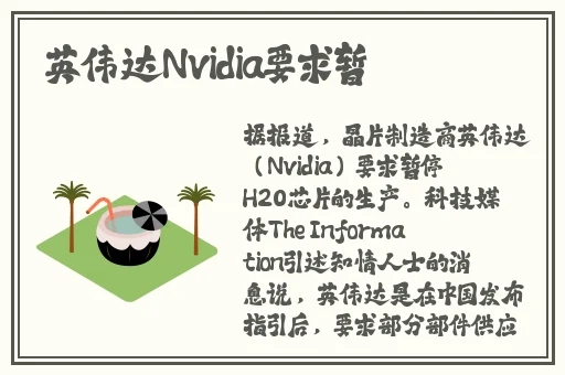 星空无限免费观看