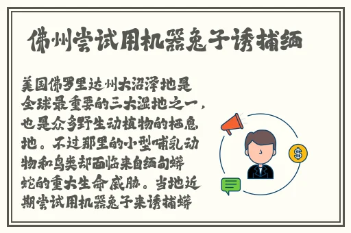 久久精品99国产精品日本
