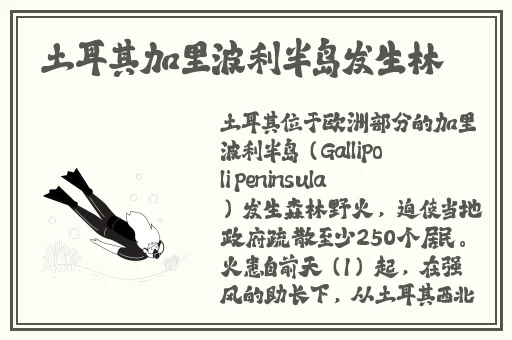 精产国品一二三产品麻豆